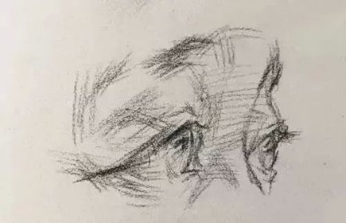 v2-c17b700cbb612266bac22cea5fdd2e4c_720w_ͼ.jpg