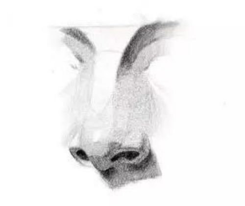 1614477876454961.jpg