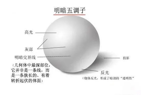 641.webp (1).jpg