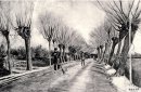 ɨ 衤1881